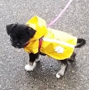 Meet your Posher, Erlene